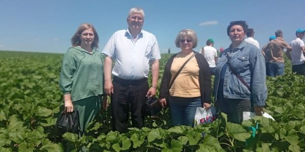 Российскую агрохимию оценили специалисты Россельхозцентра по Ставропольскому краю на фермерском Дне Поля 