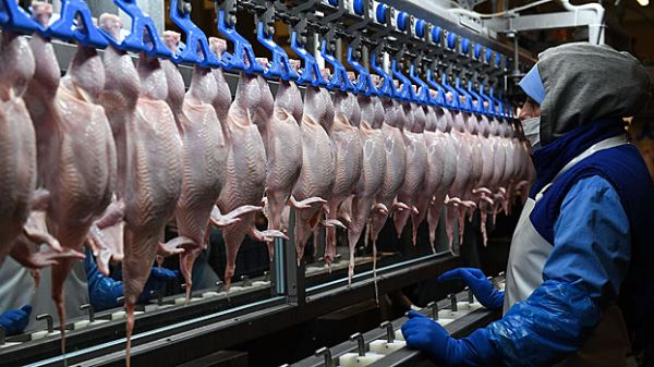 Депутат ЕП выразил беспокойство ростом поставок дешевого мяса из Украины в ЕС