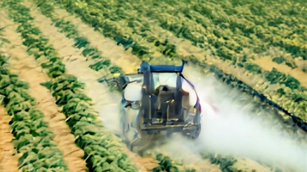 ГМО соя с устойчивостью к двум популярным гербицидам одобрена в Бразилии