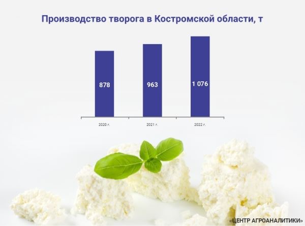 Производство творога в Костромской области выросло на 47,3%