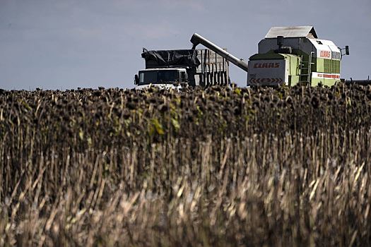 Сельскому хозяйству Украины предрекли восстановление через 20 лет